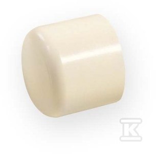 ZAŚLEPKA KW 1/2" PVC-C ZAŚLEPKA KW 1/2" PVC-C